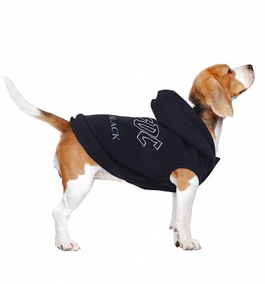AC/DC Hoodie for Dogs