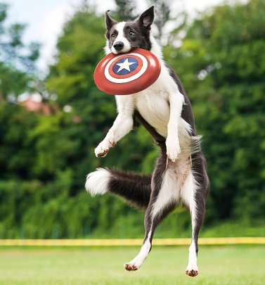 Captain America Frisbee Toy for Dogs