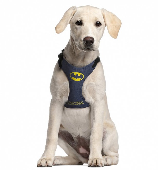 DC Comics Batman Harness for Dogs DC Comics Batman Harness for Dogs