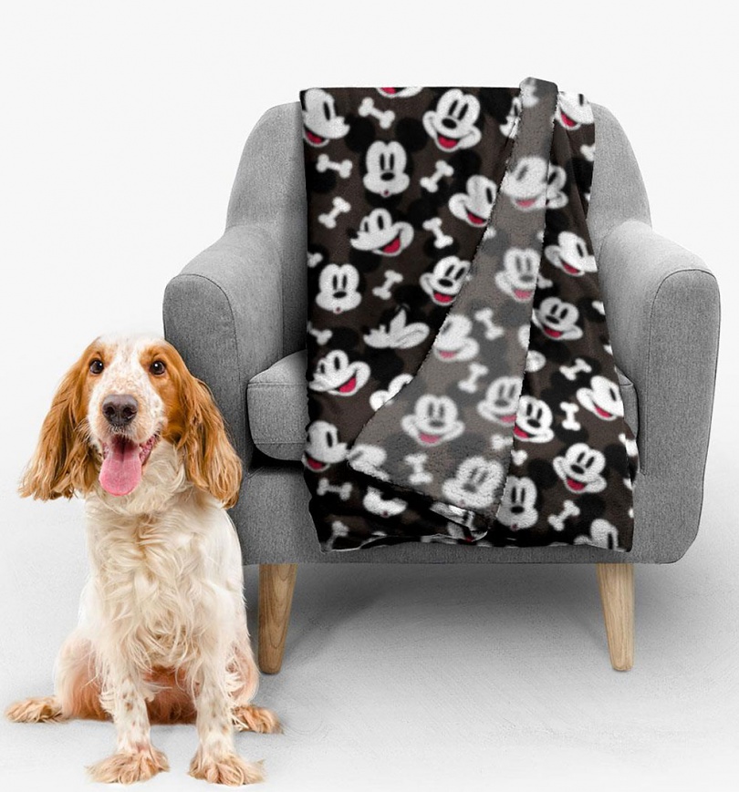 disney dog blanket