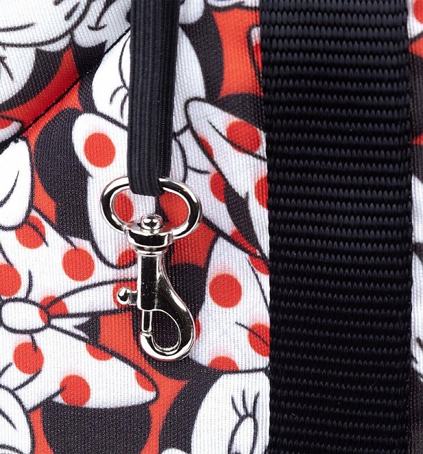 Disney Minnie Mouse Padded Pet Carrier