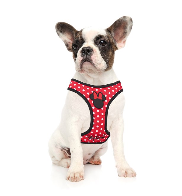 Disney Minnie Mouse Polka Dot Harness for Dogs