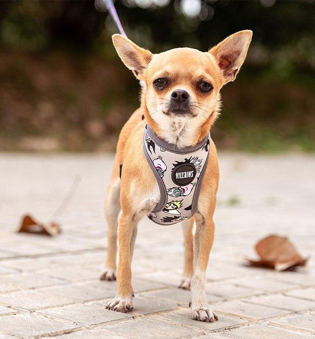 Disney Villains Reversible Harness for Dogs
