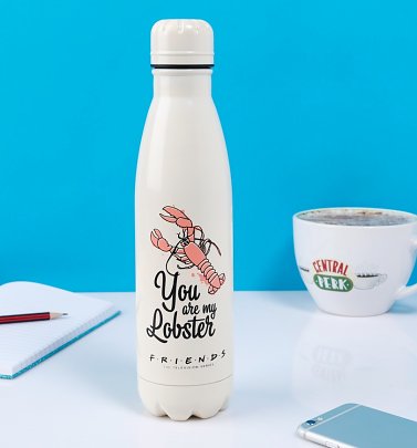 Friends You Are My Lobster Metal Water Bottle Friends You Are My Lobster Metal Water Bottle
