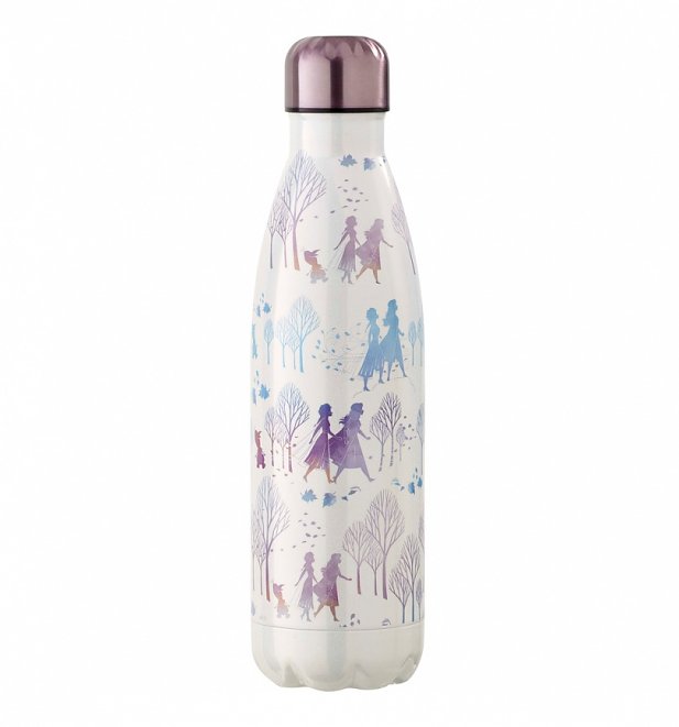 Frozen II Metal Water Bottle from Funko Frozen II Metal Water Bottle from Funko