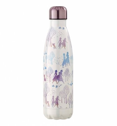 Frozen II Metal Water Bottle from Funko Frozen II Metal Water Bottle from Funko