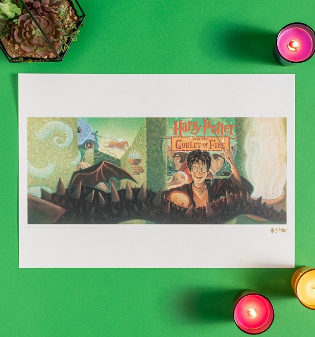 Harry Potter Goblet of Fire Book Cover Art Print