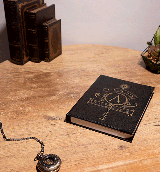 Harry Potter Tom Riddle Lumos Maxima Book Lamp Harry Potter Tom Riddle Lumos Maxima Book Lamp