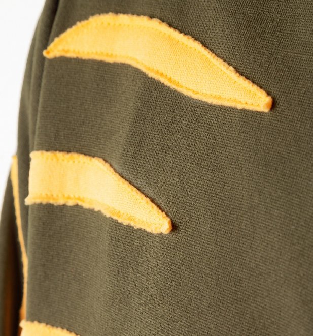 HeMan And The Masters Of The Universe Battle Cat Costume Hoodie