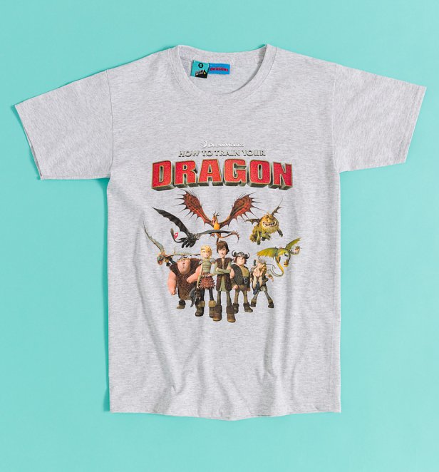 How To Train Your Dragon Group Grey Marl T-Shirt