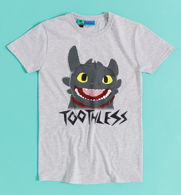 How To Train Your Dragon Toothless Glitter Grey T-Shirt