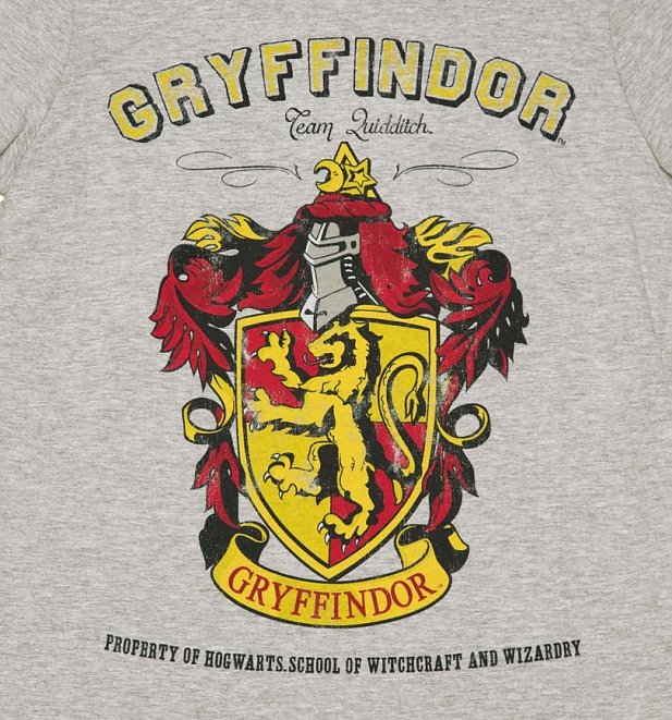 Women's Grey Harry Potter Gryffindor Team Quidditch T-Shirt Women's Grey Harry Potter Gryffindor Team Quidditch T-Shirt