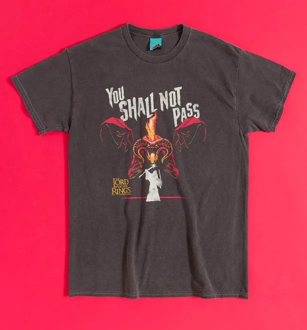 The Lord Of The Rings Balrog You Shall Not Pass Vintage Wash Charcoal T-Shirt
