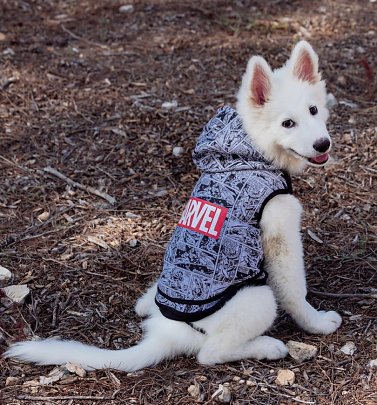 Marvel Comics Hoodie for Dogs Marvel Comics Hoodie for Dogs