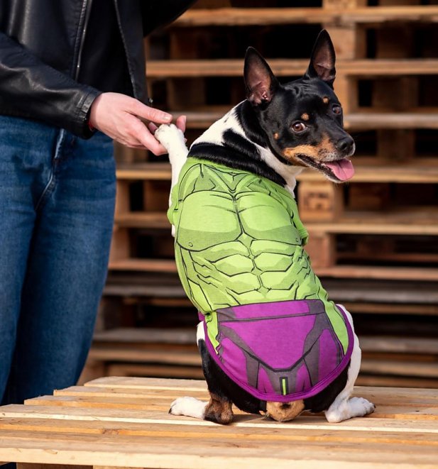 Marvel Comics Incredible Hulk Costume T-Shirt for Dogs from For Fan Pets