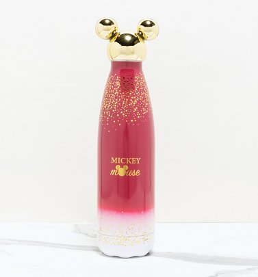 Mickey Mouse Berry Metal Water Bottle from Funko Mickey Mouse Berry Metal Water Bottle from Funko