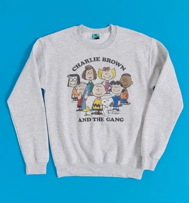 Peanuts Charlie And The Gang Ash Grey Sweater