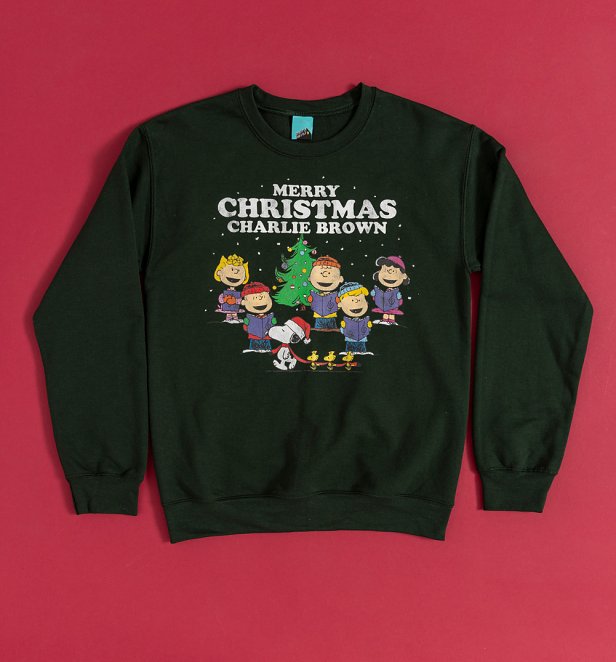 Peanuts A Charlie Brown Christmas Green Sweater Peanuts A Charlie Brown Christmas Green Sweater