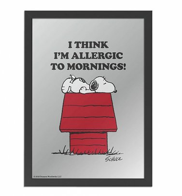 Peanuts Snoopy Allergic To Mornings Mirror Peanuts Snoopy Allergic To Mornings Mirror