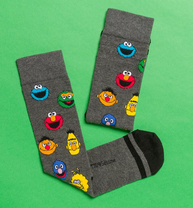 Sesame Street Characters Socks