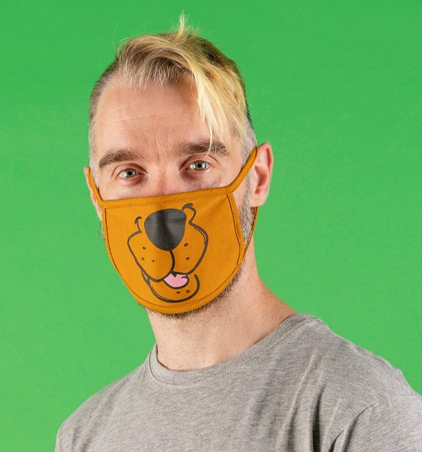 Set of Two Scooby Doo Face Masks