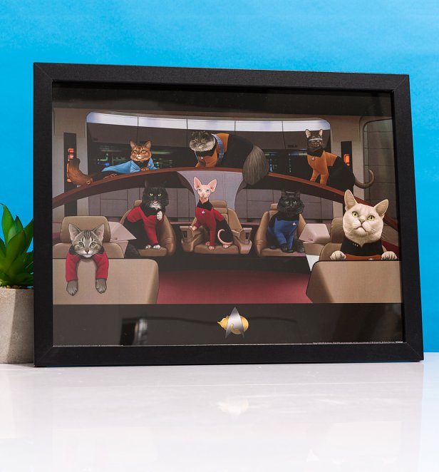 Star Trek Cats Framed Print