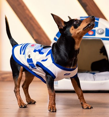 Star Wars R2-D2 Costume T-Shirt for Dogs from For Fan Pets