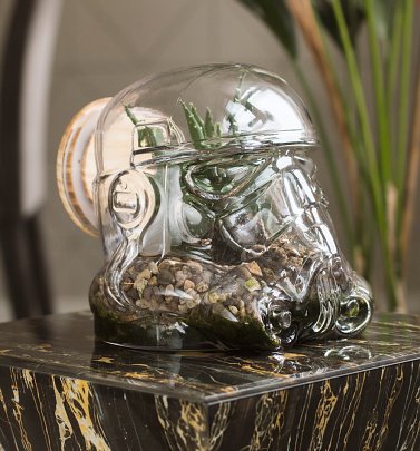 Star Wars Stormtrooper Shaped Glass Terrarium Star Wars Stormtrooper Shaped Glass Terrarium