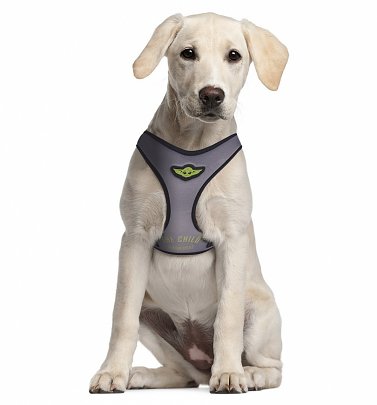 Star Wars The Mandalorian The Child Harness for Dogs