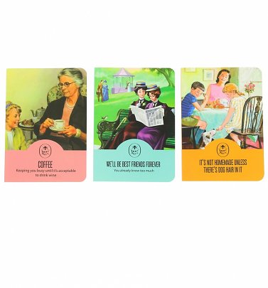 Vintage Ladybird Journal Set Vintage Ladybird Journal Set
