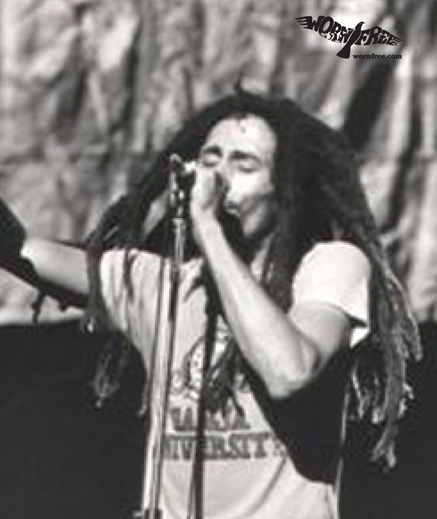 Bob Marley Bob Marley