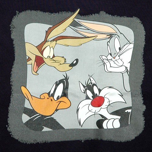 Kids Looney Tunes Character T-Shirt from Spike