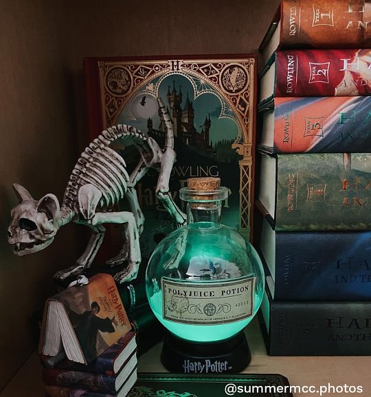 Harry Potter Colour Change Potion Bottle Mood Lamp
